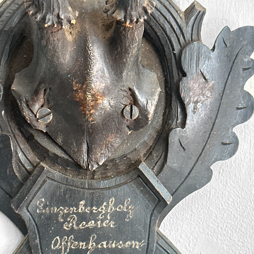 Black Forest Antlers on Carved Plaque (#553)