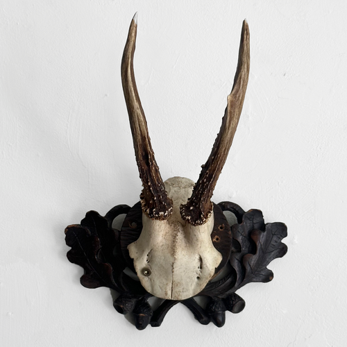 Black Forest Antlers on Carved Plaque (#554)