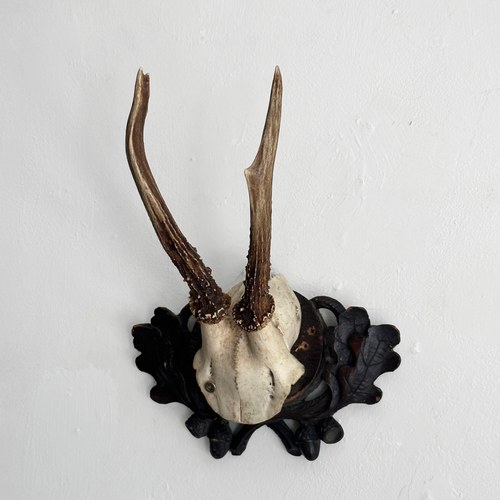 Black Forest Antlers on Carved Plaque (#554)