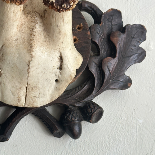 Black Forest Antlers on Carved Plaque (#554)