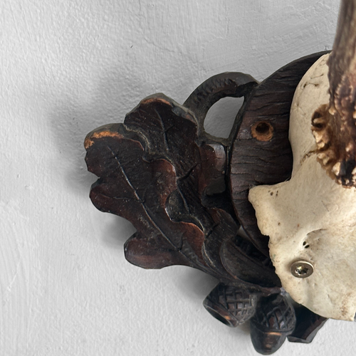 Black Forest Antlers on Carved Plaque (#554)