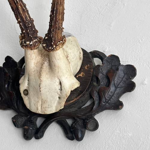 Black Forest Antlers on Carved Plaque (#554)