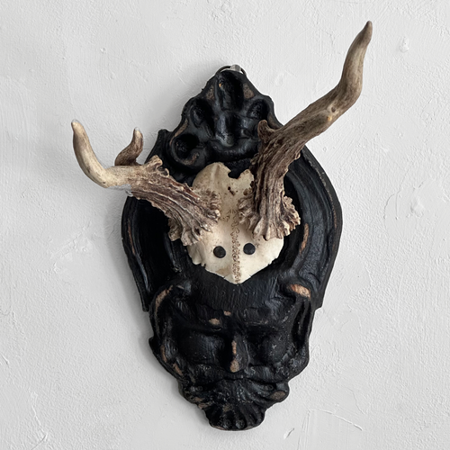 Black Forest Antlers on Carved Plaque (#555)