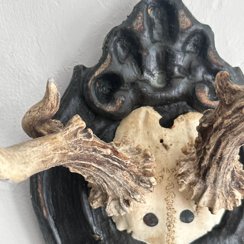 Black Forest Antlers on Carved Plaque (#555)
