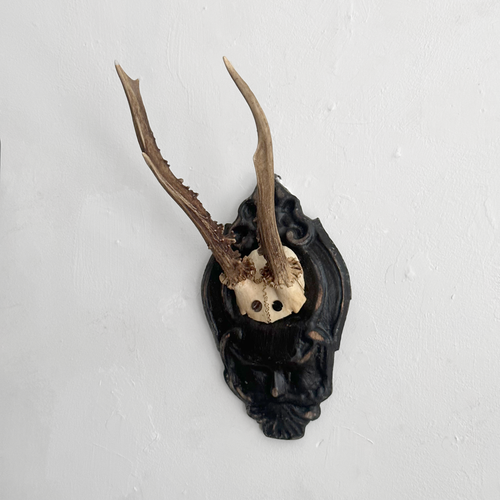 Black Forest Antlers on Carved Plaque (#556)
