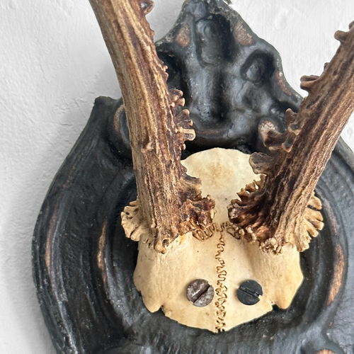 Black Forest Antlers on Carved Plaque (#556)