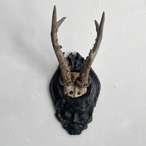 Black Forest Antlers on Carved Plaque (#557)