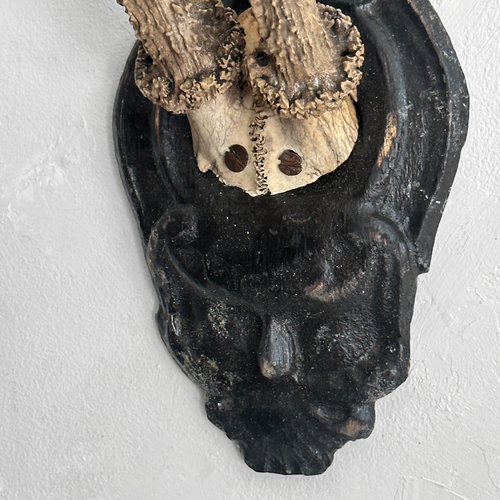 Black Forest Antlers on Carved Plaque (#557)