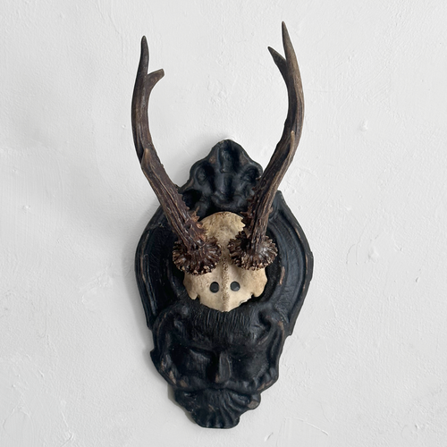 Black Forest Antlers on Carved Plaque (#558)