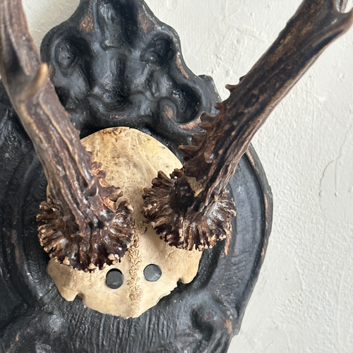Black Forest Antlers on Carved Plaque (#558)
