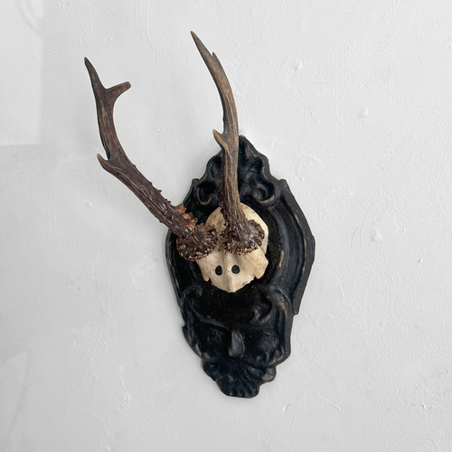 Black Forest Antlers on Carved Plaque (#558)
