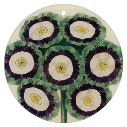 Green Primrose