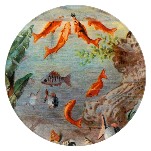 A five inch round glass plate featuring a close up of an aquarium 