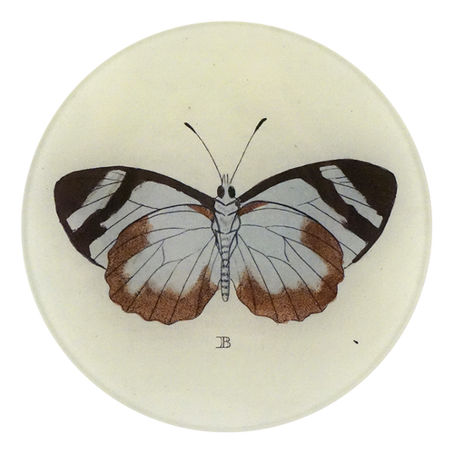 A five inch round plate featurinig a  vintage-style illustration of a butterfly with black, white, and brown wings on an off-white background, featuring a small monogram 'B' below.