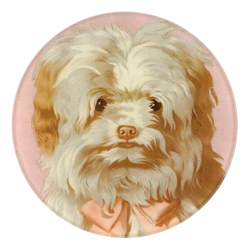 A five inch round glass plate of a close up image of a white fluffy dog on a pink background 