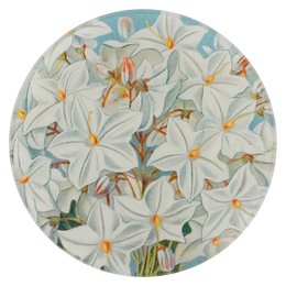 A five inch round handblown glass plate with floral design featuring white flowers and orange centers on a blue background
