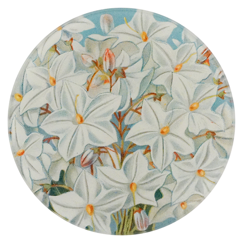 A five inch round handblown glass plate with floral design featuring white flowers and orange centers on a blue background