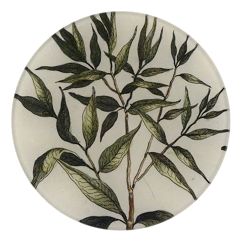 A five inch round glass plate with a collage of green foliage designs.