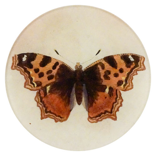 A five inch round handblown glass plate with a orange moth