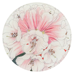 A five inch round plate with pink and white floral design on a white background