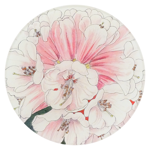 A five inch round plate with pink and white floral design on a white background