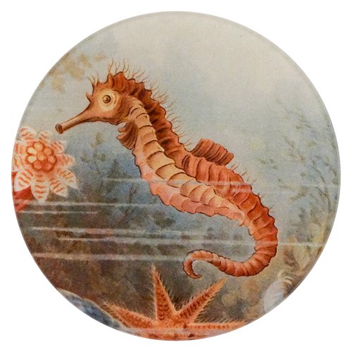 A four inch round plate with a seahorse design on a textured background