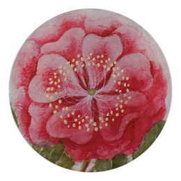 A five inch round glass plate featuring a close up of a pink tropical rose