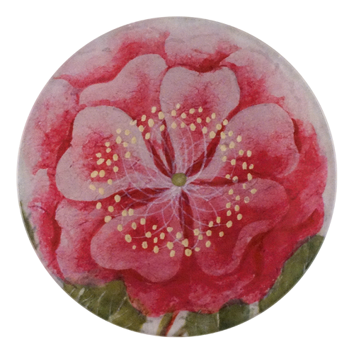 A five inch round glass plate featuring a close up of a pink tropical rose