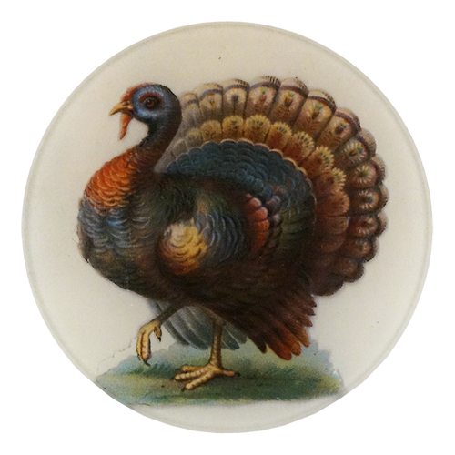 A five inch round plate featuring a detailed illustration of a colorful turkey with an open tail, set against a plain light background.