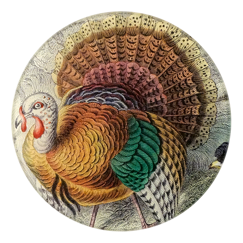 A five inch round glass plate with a depiction of an American Wild Turkey, featuring a collage of vintage print designs 