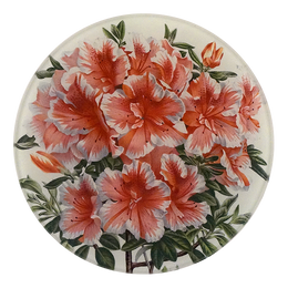 A five inch round glass plate with a variegated azalea floral design.