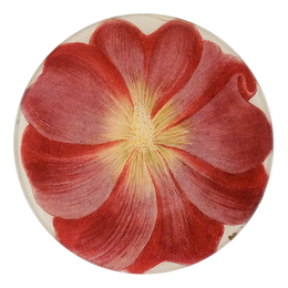 A five inch round glass plate plate with a floral pattern, featuring predominantly red petals and a yellow center