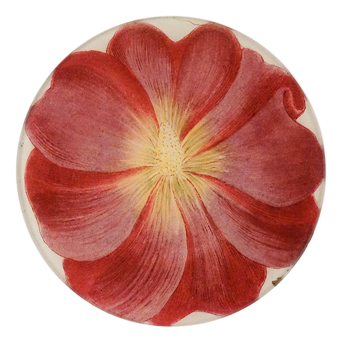 A five inch round glass plate plate with a floral pattern, featuring predominantly red petals and a yellow center