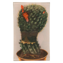Cactus Flower