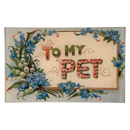 To My Pet