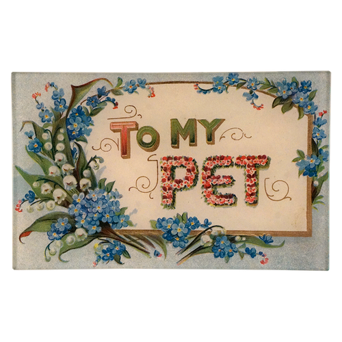 To My Pet