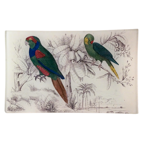 Two Parakeets