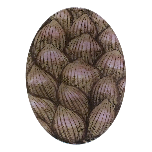 A five inch by seven oval glass plate featuring a detailed illustration of overlapping brown and pinkish-beige petals with fine dark speckles, shown on a solid white background.