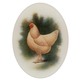 A five inch by seven inch glass plate with a chicken illustration on a white background
