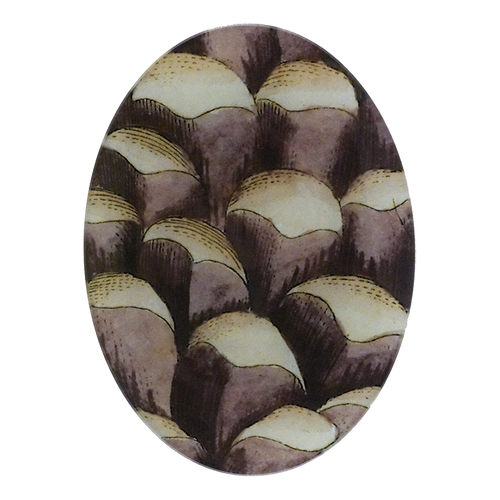 A 5-inch by 7-inch oval glass plate featuring a close up image of a Strobus. 
