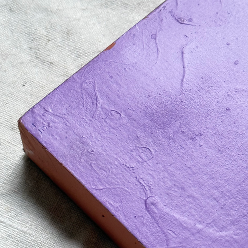 Leanne Shapton "The Price of Salt" Painted Wooden Book