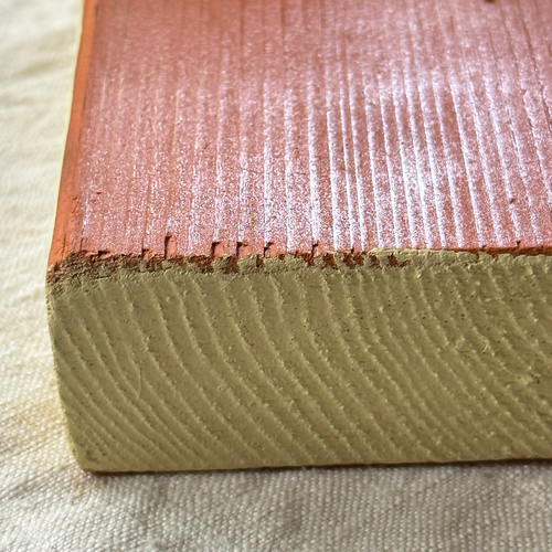 Leanne Shapton "The Well of Loneliness" Painted Wooden Book