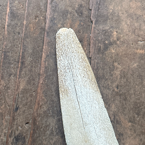 Vintage 35" Swordfish Rostrum