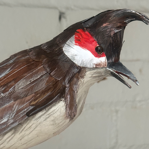 Papier-Mâché Red-Whiskered Bullbull Bird #49