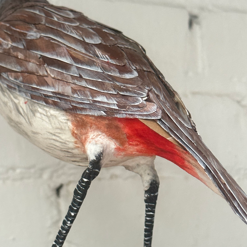 Papier-Mâché Red-Whiskered Bullbull Bird #49