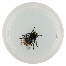 Bumblebee Hoverfly (Bees & Wasps)