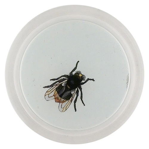 Bumblebee Hoverfly (Bees & Wasps)