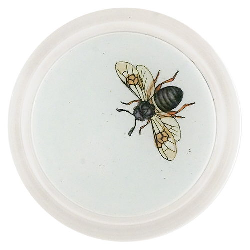 Long Horned Bee (Bees & Wasps)