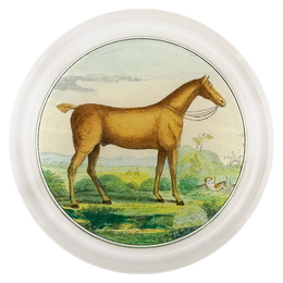 Brown Horse