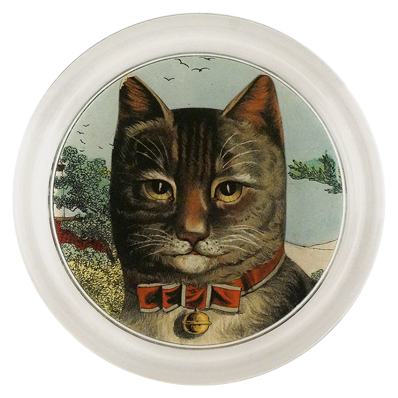 Country Cat